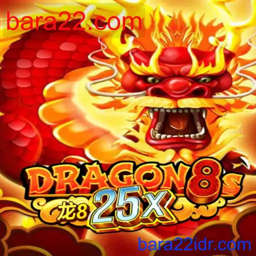 Dragon8s25x